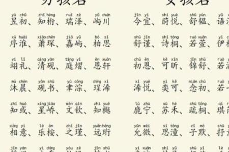 2020年腊月二十八出生男孩缺土新颖好听名字精选姓名