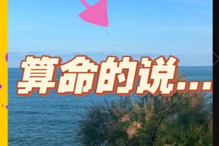 抖音老是刷到算命的视频