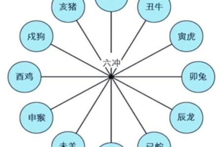 12生肖配对姻缘猪与虎 十二生肖猪和虎合不合？