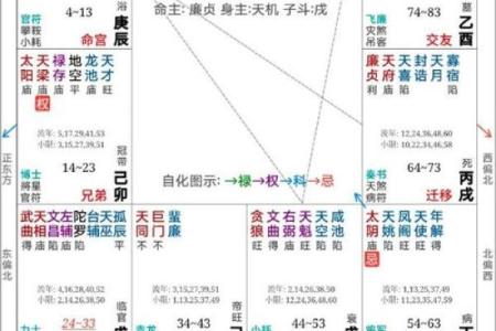 紫微斗数术语解释之：格局