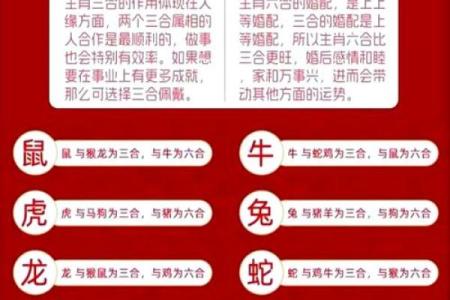 八字合冲