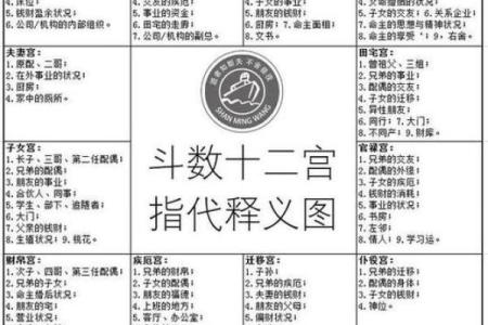 中洲派紫薇斗数