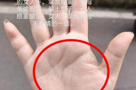 手相图解大全女右手算命 看手相算命图解女性右手