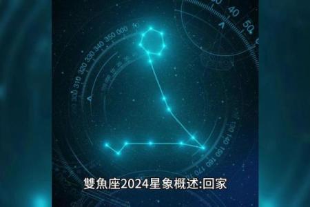 星座2024运势图