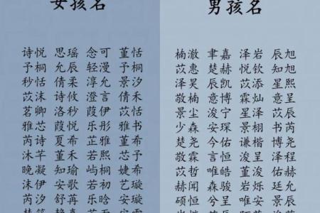 2019年3月21号子时出生的男孩应该起什么样的名字姓名