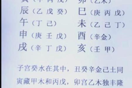 八字信息解析教程，让你轻松掌握八字学问