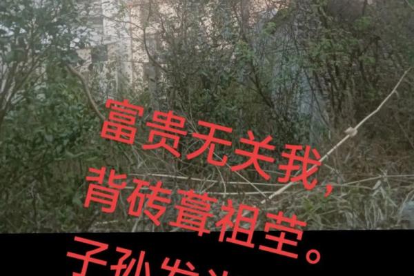 子女总是能当官的祖坟风水