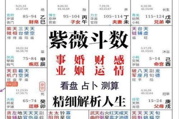 免费五行八卦算命,八字五行免费算命