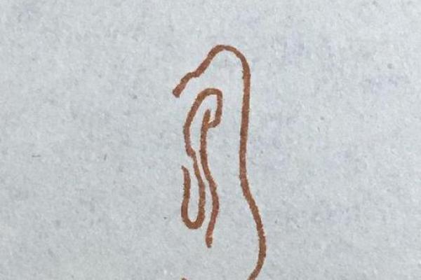 耳朵风水里代表什么