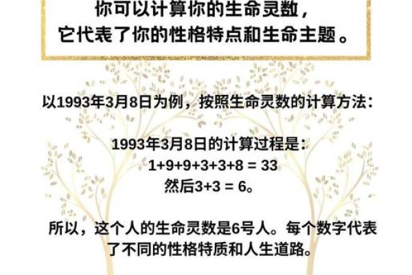 生命灵数配对哪种最准