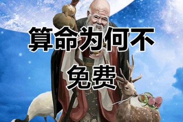 为什么不能免费算命