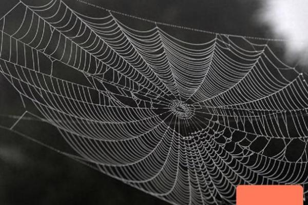 紫薇斗数冲破天罗地网