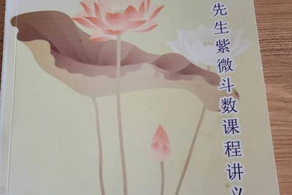 紫薇斗数冲破天罗地网