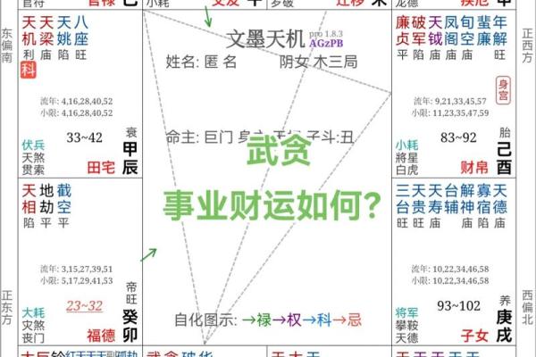 紫薇斗数流年免费算命