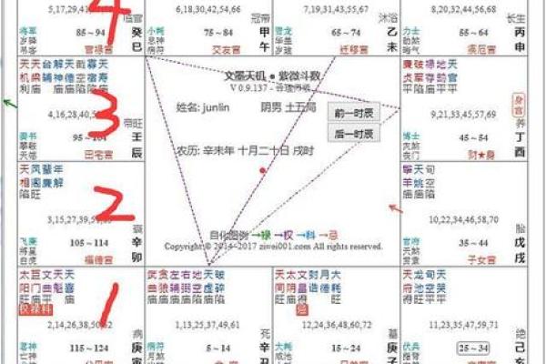 紫微斗数之阴阳五行 紫微斗数之阴阳五行