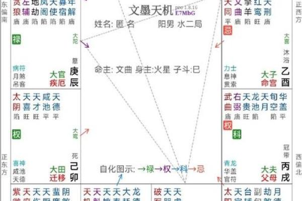 紫微斗数的权星,紫微权忌定位