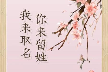 单姓女孩名字大全-单姓女孩起名字大全-单姓名字大全姓名