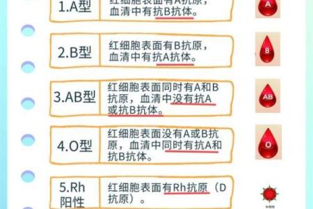 血型会影响怀孕吗- O型血的女性不易受孕