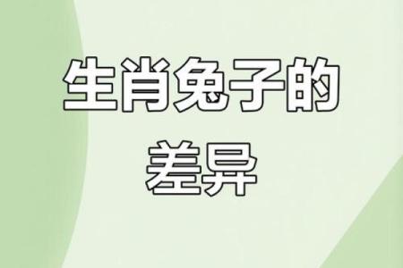85年属什么的生肖性格 85年属什么的生肖配对兔