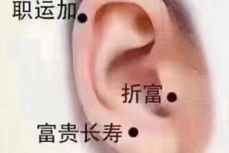 耳朵风水里代表什么