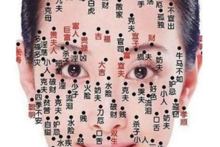 肩膀算命大全