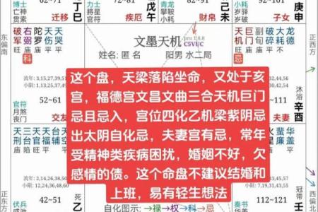 紫薇斗数适合做什么行业