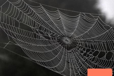 紫薇斗数冲破天罗地网