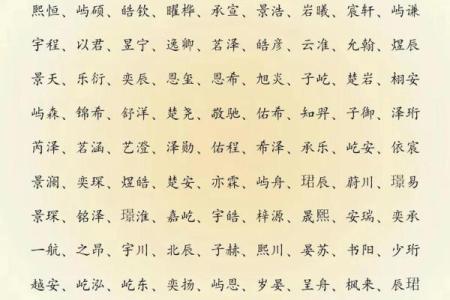 2019年5月6号寅时出生的男孩起名时要注意什么姓名
