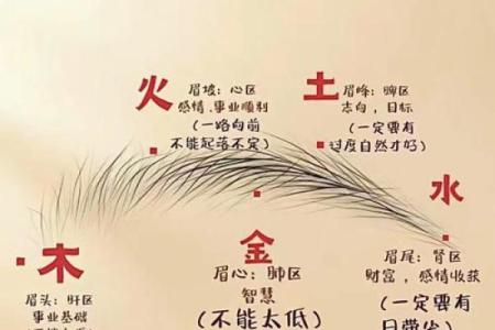 刮眉毛风水