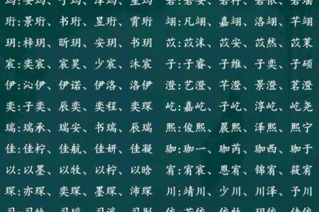 起名字2024生辰八字  2024生辰八字取名字免费起名