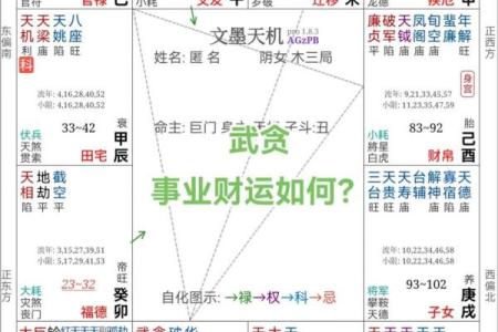 紫薇斗数流年免费算命