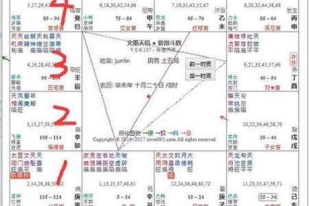 紫微斗数之阴阳五行