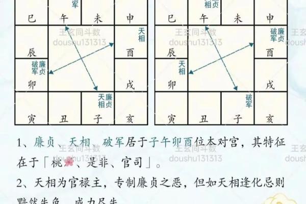 紫薇斗数看男方家境