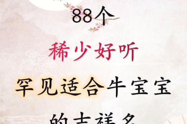 凌晨5点出生的属牛男孩取名有哪些适合的字姓名