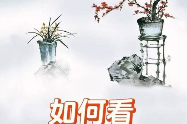 算命夫妇双方