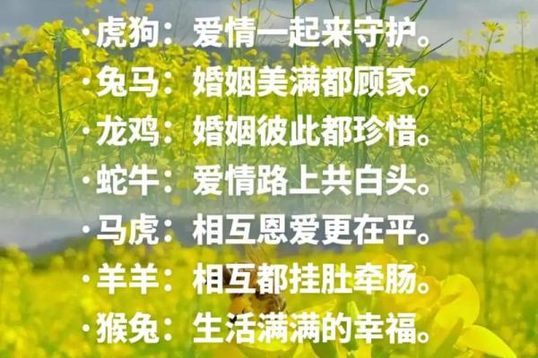 属鼠的女人和什么属相最配对 属鼠的女人和什么属相最配婚姻