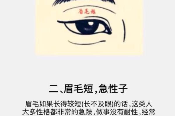 面相图解-弓丧眉算命及性格特征