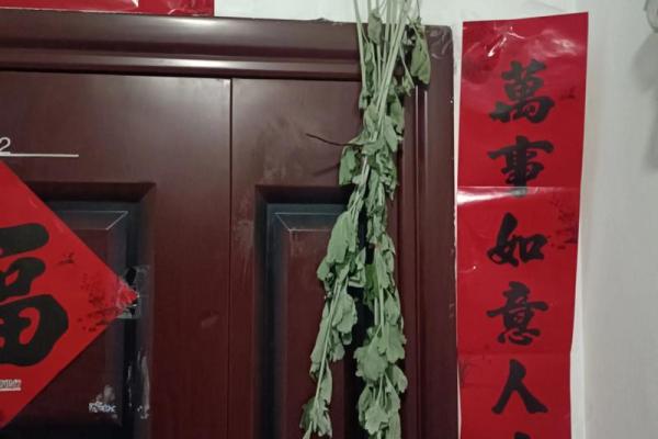 艾叶干了还能挂门上吗还有风水效果吗