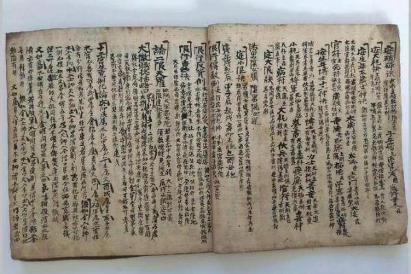 紫薇斗数与数术