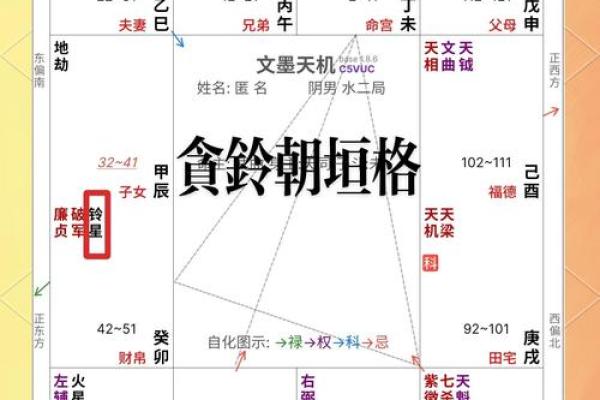 紫薇斗数中什么是拱