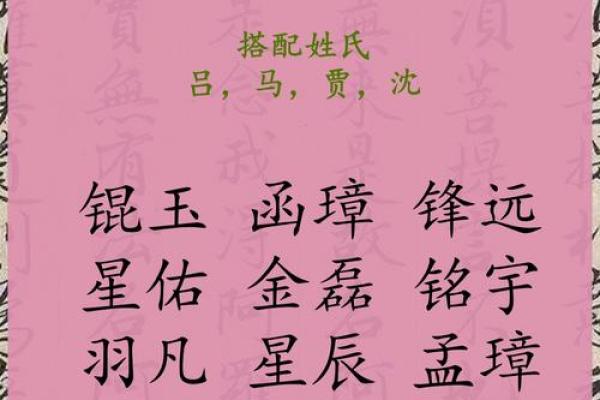 2019年3月17号辛时出生的男孩应该起什么样的名字姓名