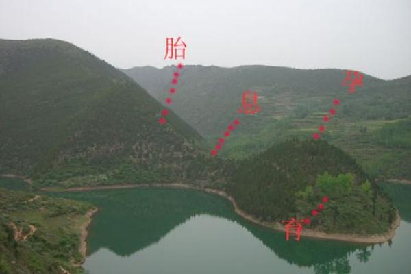 风水基础知识_请问在家长期供奉去世的父母照片好不好