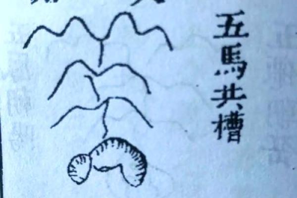 葬到好风水的征兆