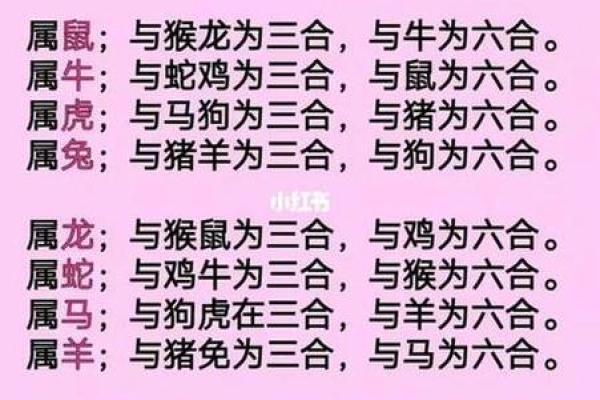 生肖配对查询男女