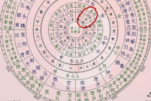 八字十神排盘紫薇斗数