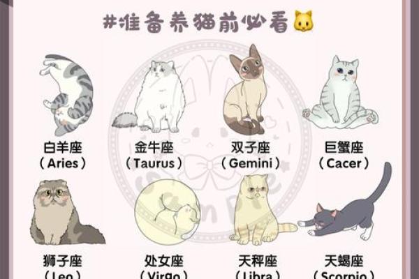适合一起慢慢变老的星座