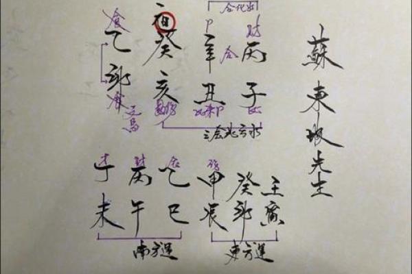 乾卦八字命理解析