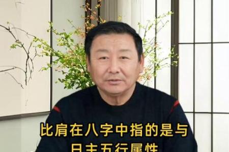 八字比肩多