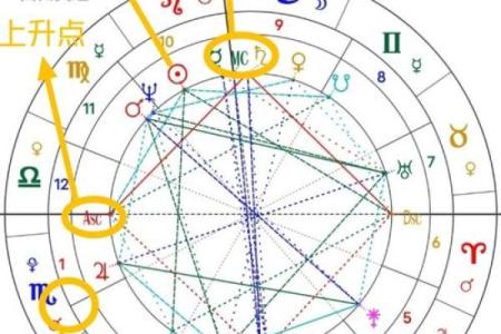 怎么知道自己的星盘 如何查询自己的星盘
