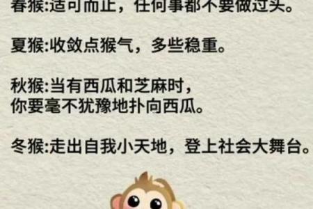 属猴的男孩出生吉日 属猴是哪一年出生的